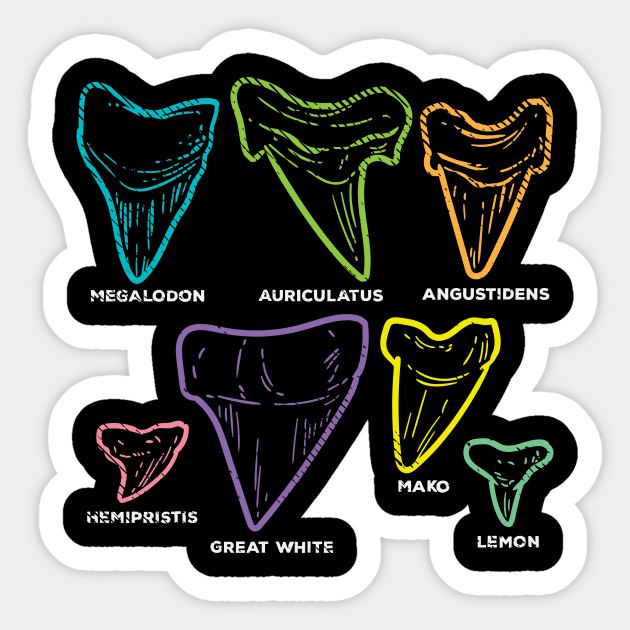 Shark Tooth types Fossil Hunting Sticker by maxcode